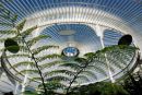 Kibble Palace
